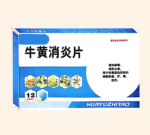 ������ͬһ��ҩҵ���޹�˾/��������������ҩ���޹�˾-ţ������Ƭ