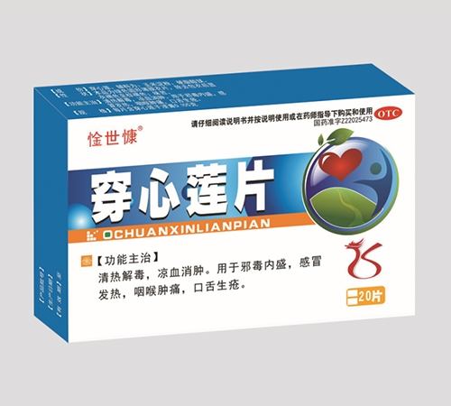 ����ʡ������ҩҵ���޹�˾-������Ƭ