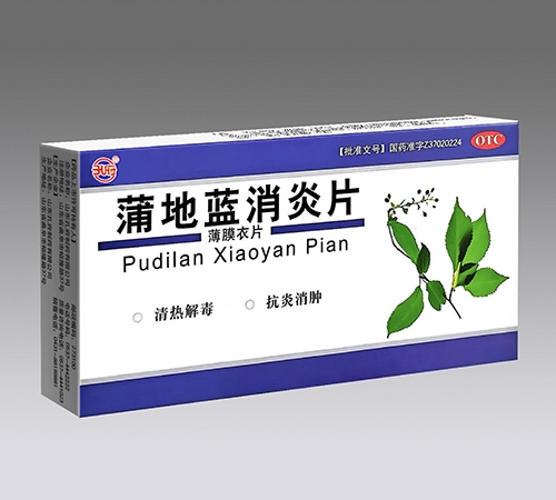 ����ʡ������ҩҵ���޹�˾-�ѵ�������Ƭ��48Ƭ��