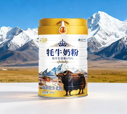 �����ʺ� ��ţ�̷�