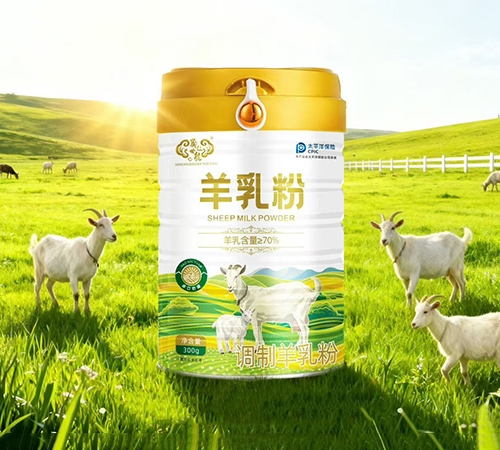 �����ʺ� �����