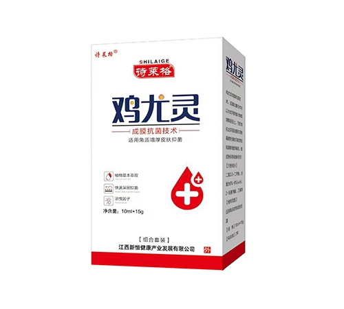 ɽ������ҩҵ���޹�˾-ʫ���� �����飨�����װ��