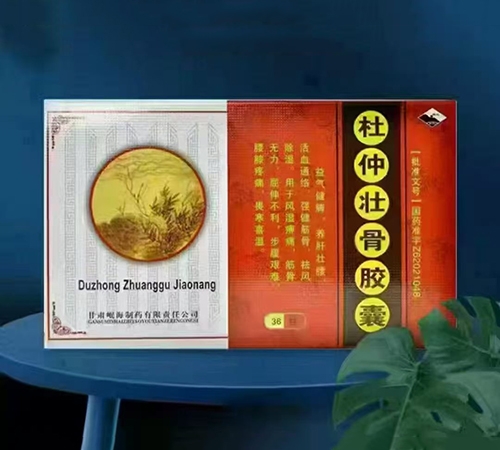 ������Ẻ���ҩ���޹�˾-����׳�ǽ���