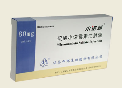 ����Сŵù��ע��Һ(2ml:80mg)