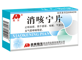 ������Ƭ