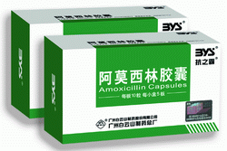 ��Ī���ֽ�������|˵����