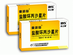 ���ỷ��ɳ��Ƭ����|˵����