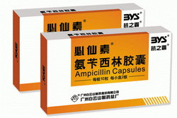 �������ֽ�������|˵����