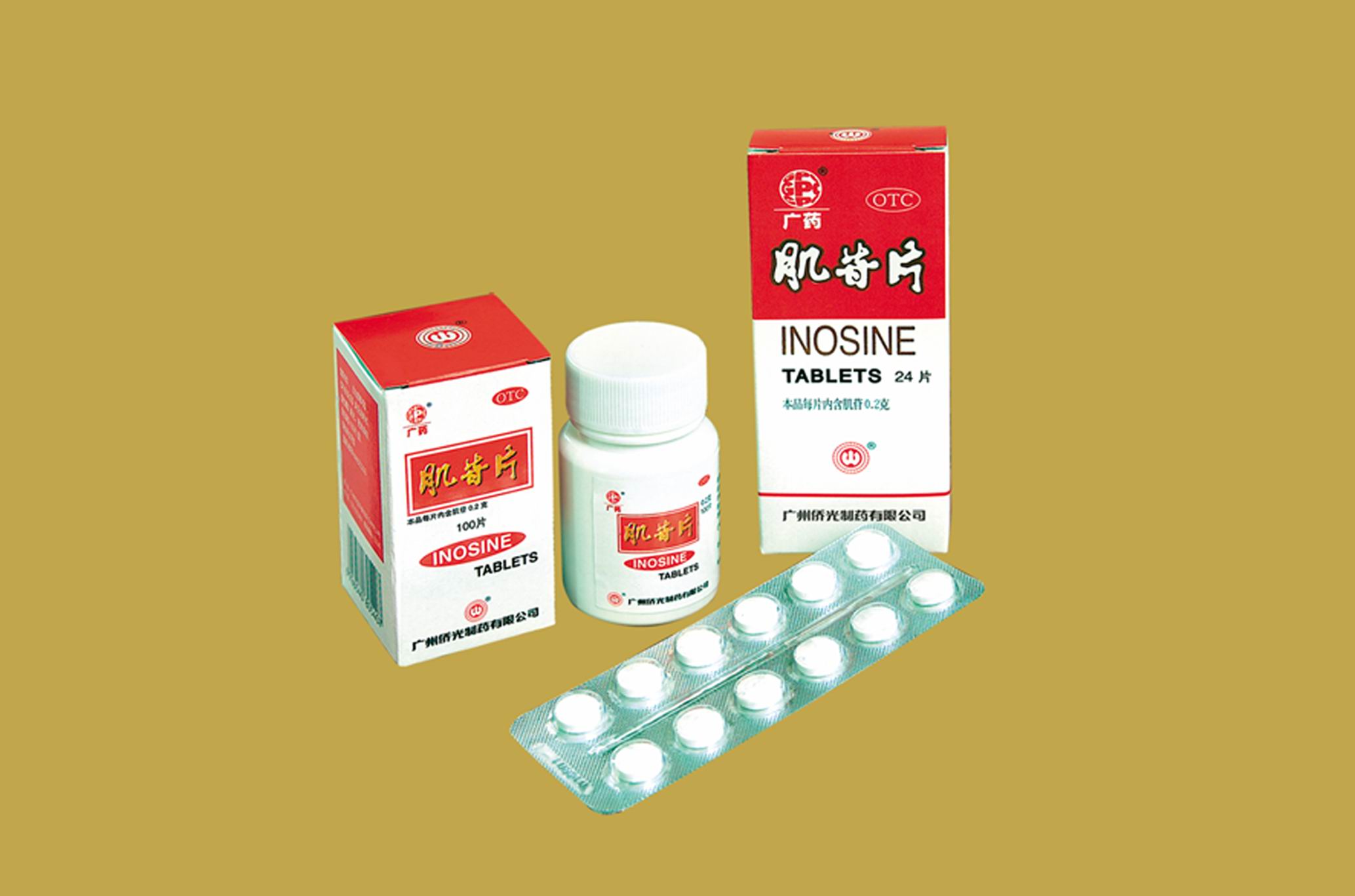 ����Ƭ����|˵����