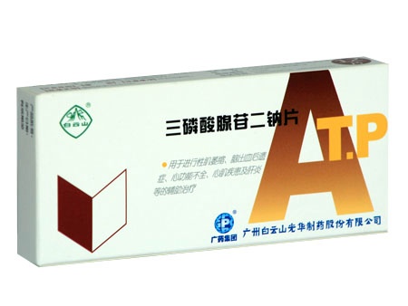 ���������ն���Ƭ����|˵����