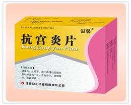 ������Ƭ����|˵����