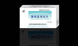 �ѵ�������Ƭ����|˵����