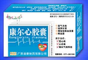 �����Ľ�������|˵����