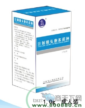 ע����ͷ����ŵ�� ������