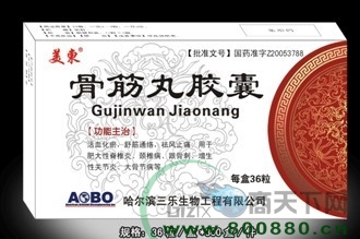 �ǽ��轺������|˵����