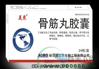 �ǽ��轺������|˵����
