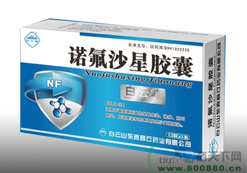 ŵ��ɳ�ǽ�������|˵����