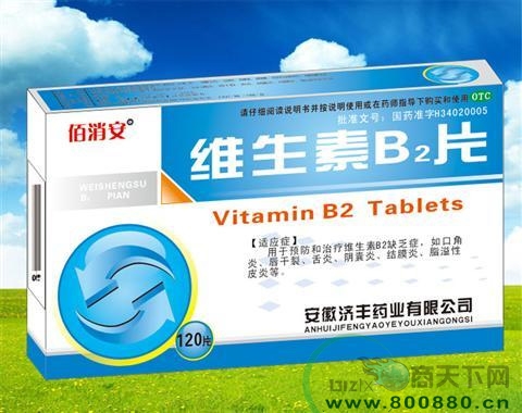 ά����B2Ƭ����|˵����