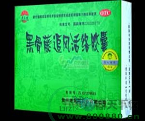 �ڹ���׷����罺������|˵����