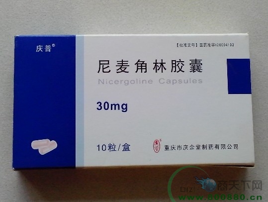 ������ֽ�������|˵����