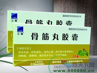 �ǽ��轺��