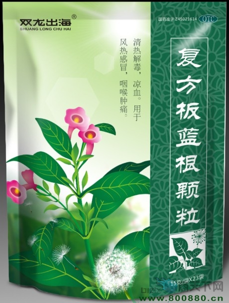 ˫������-������������������|˵����