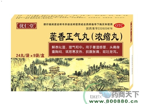 ޽������������|˵����