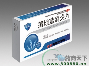 �ѵ�������Ƭ����|˵����