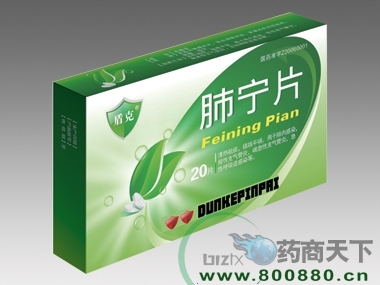 ����Ƭ����|˵����