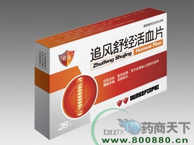 ׷���澭��ѪƬ����|˵����