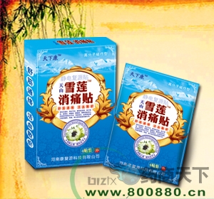 ѩ����ʹ��