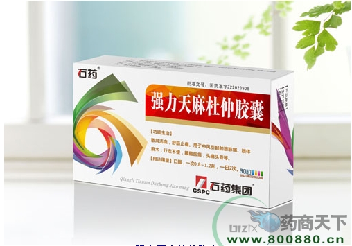 ǿ��������ٽ���