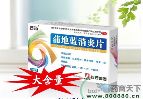 �ѵ�������Ƭ