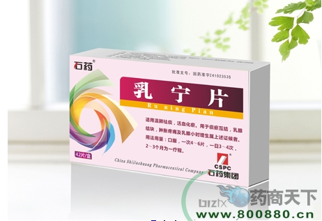 ����Ƭ����|˵����