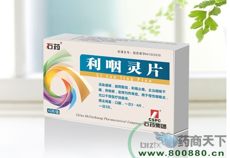 ������Ƭ����|˵����