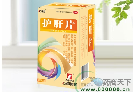 ����Ƭ����|˵����