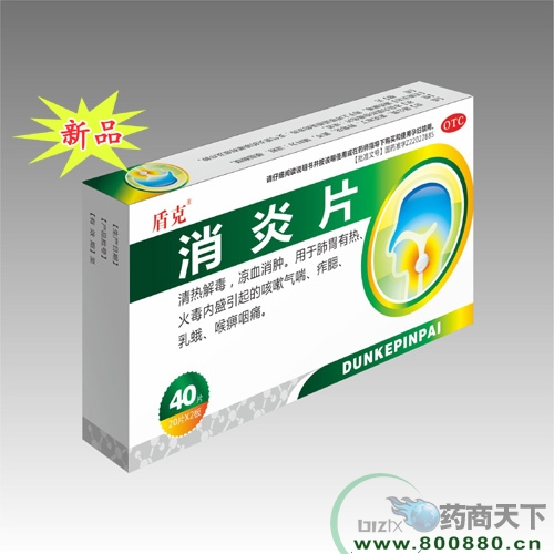 ����Ƭ����|˵����