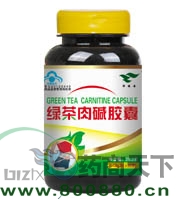 �̲���������|˵����