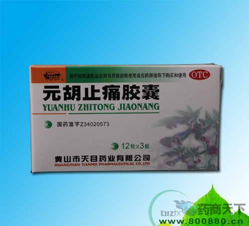 Ԫ��ֹʹ����