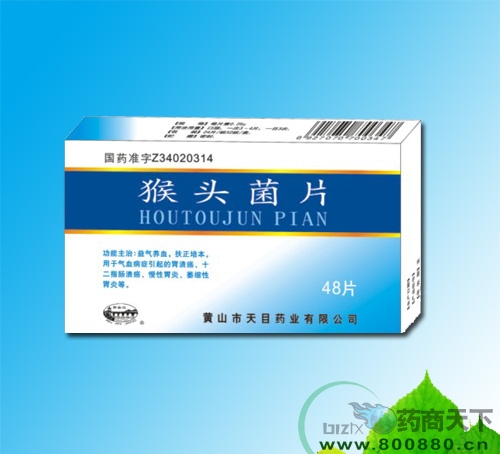 ��ͷ��Ƭ(����Ƭ)����|˵����