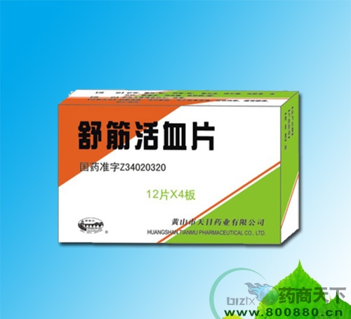 ����ѪƬ����|˵����