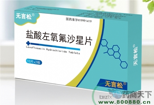 ����������ɳ��Ƭ����|˵����