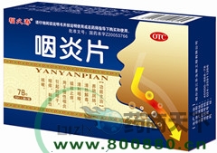 ����Ƭ����|˵����