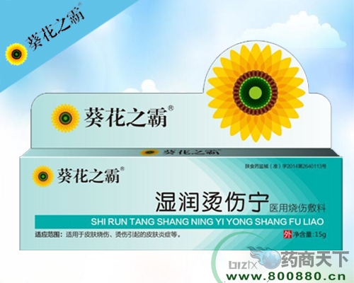 ����֮��-ʪ��������(�����������ҩҵ���޹�˾,ҩƷ��ҽҩ����)