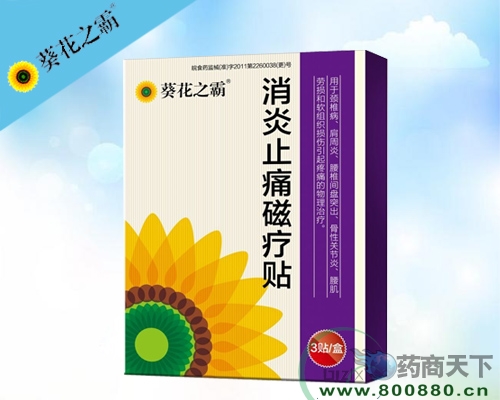 ����֮��-����ֹʹ������(�����������ҩҵ���޹�˾,ҩƷ��ҽҩ����)
