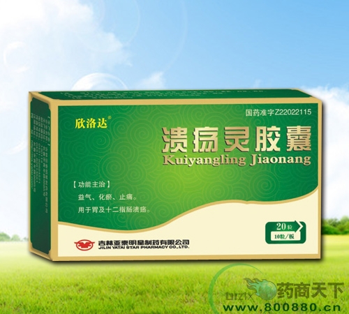 �����齺������|˵����