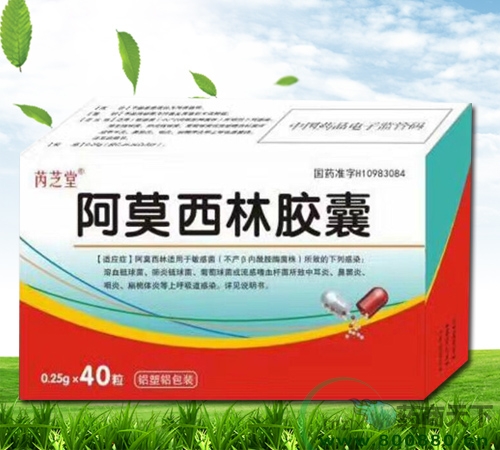 ��Ī���ֽ���