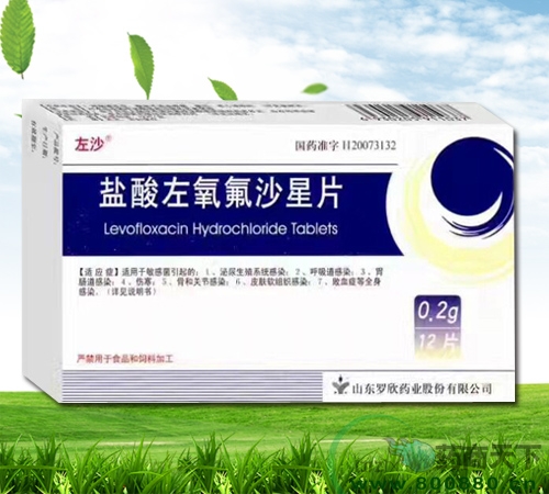 ����������ɳ��Ƭ