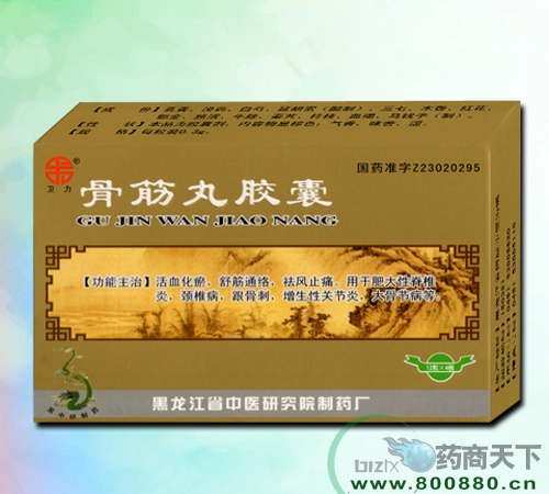 �ǽ��轺������|˵����