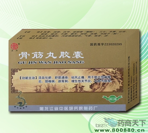 �ǽ��轺������|˵����